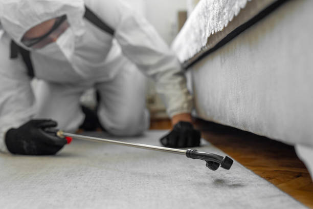 Professional Cockroach Control technician working in Carteret County County, NC